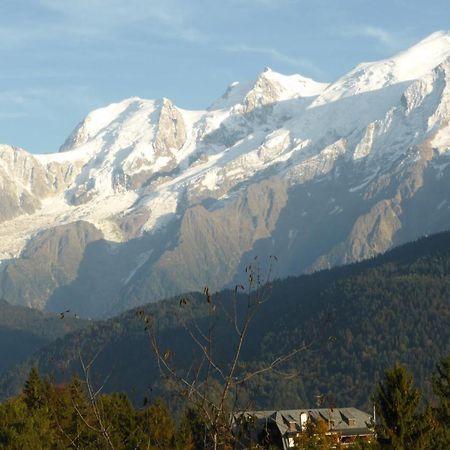 Chalet Les Chouchous Passy  Luaran gambar