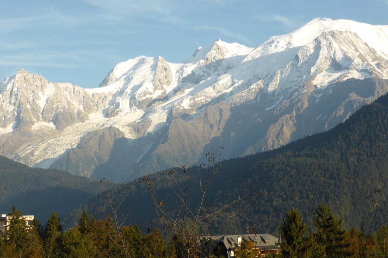 Chalet Les Chouchous Passy  Luaran gambar